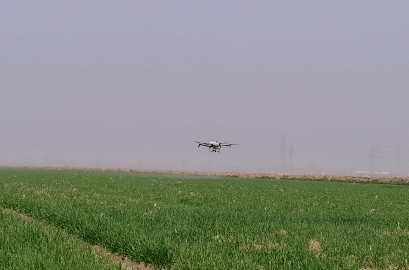 小麥無人機施肥_副本