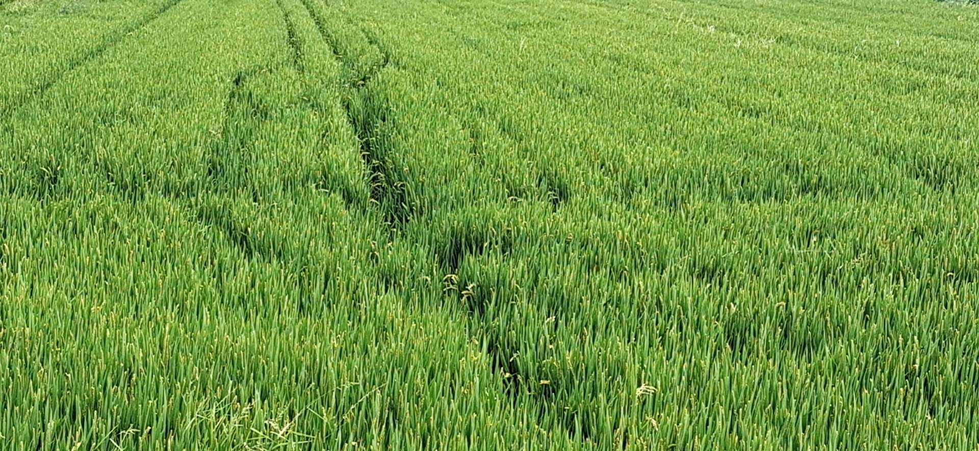 B1593C91E5E6B8F07DA428714A1E234B.jpg B1593C91E5E6B8F07DA428714A1E234B.jpg